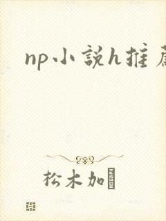 np小说h推荐
