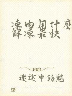 冻肉用什么办法解冻最快