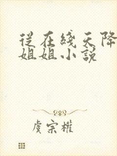从在线天降仙子姐姐小说