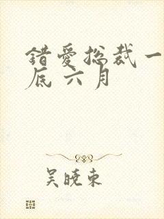 错爱总裁一婚到底 六月