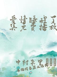 爱情睡醒了40集免费播放