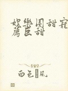 娱乐圈甜宠文推荐巨甜