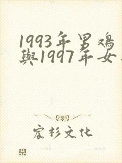 1993年男鸡与1997年女牛相配吗