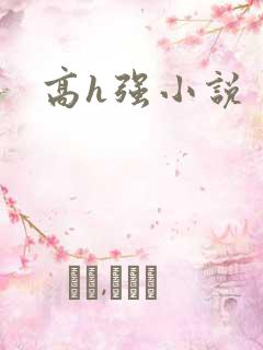 高h强小说