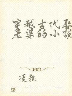 穿越古代娶很多老婆的小说