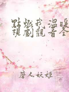 点燃我温暖你电视剧观看全集免费