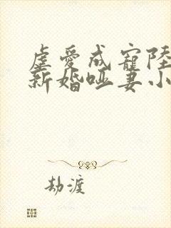 虐爱成宠陆总的新婚哑妻小说