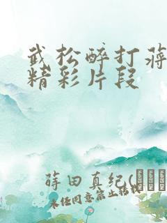 武松醉打蒋门神精彩片段