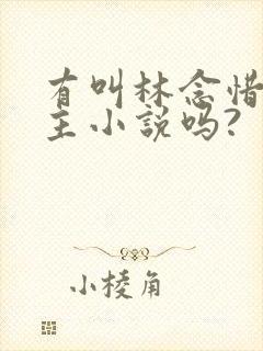 有叫林念惜的女主小说吗?