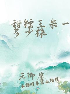 甜糯玉米一亩种多少株