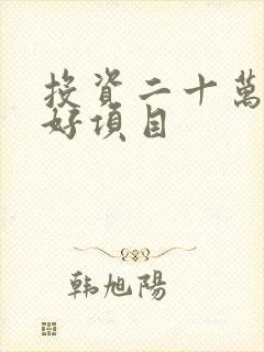 投资二十万挣钱好项目