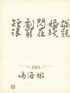 短剧闪婚总裁都很穷在线观看全集免费观看