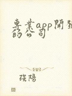 专业app开发的公司