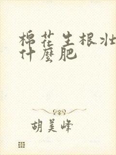 棉花生根壮苗用什么肥