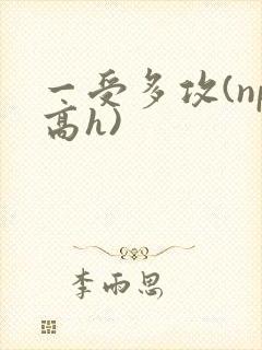 一受多攻(np高h)