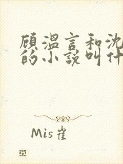 顾温言和沈佳芮的小说叫什么