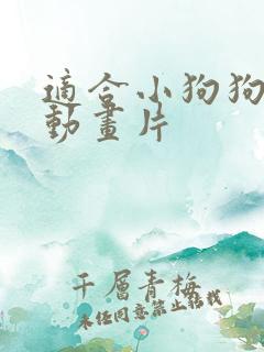 适合小狗狗看的动画片