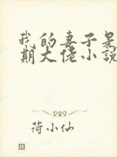 我的妻子是大乘期大佬小说完整免费