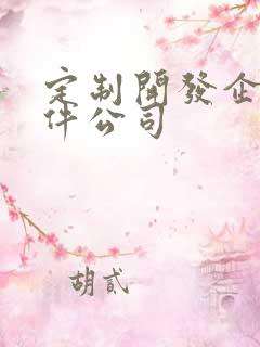 定制开发企业软件公司
