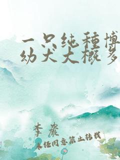 一只纯种博美狗幼犬大概多少钱