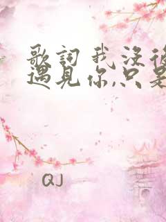 歌词 我没后悔遇见你,只是觉得好遗憾