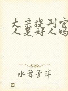 大宋提刑官卢大人是好人吗