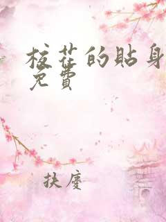 校花的贴身保镖免费