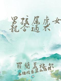男孩属虎女孩属龙合适不