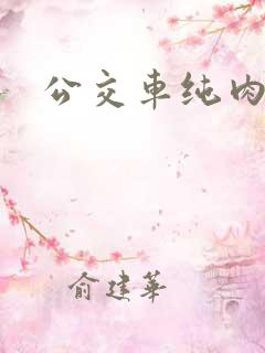公交车纯肉小说