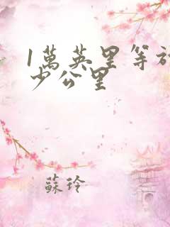 1万英里等于多少公里