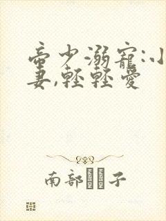 帝少溺宠:小娇妻,轻轻爱
