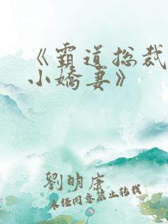 《霸道总裁爱上小娇妻》