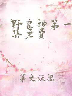 野良神第一季全集免费
