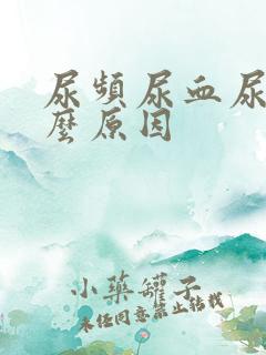 尿频尿血尿痛什么原因