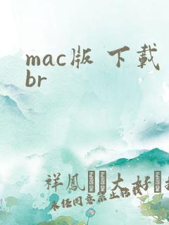 mac版 下载br