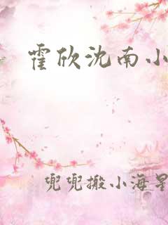 霍欣沈南小说