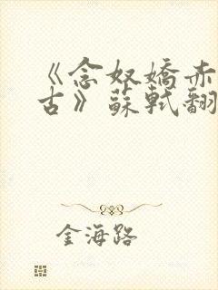 《念奴娇赤壁怀古》苏轼翻译