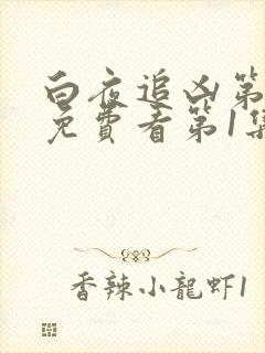 白夜追凶第二季免费看第1集