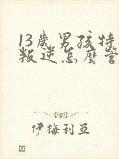 13岁男孩特别叛逆怎么管教