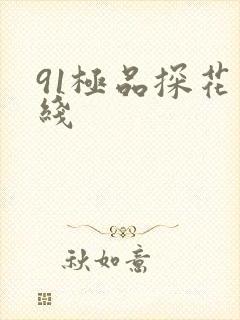 91极品探花在线