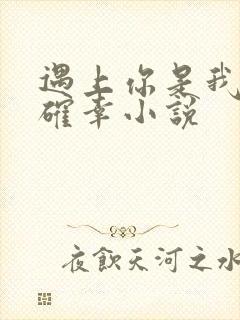 遇上你是我的小确幸小说