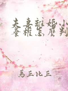 夫妻离婚小孩抚养权怎么判抚养费怎么出