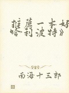 推荐一本好书《哈利波特》作文