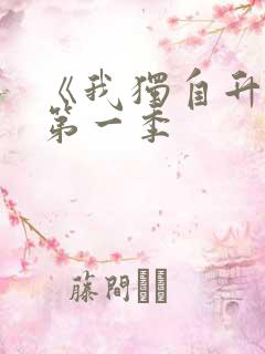 《我独自升级》第一季