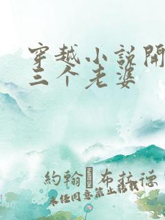 穿越小说开局选三个老婆