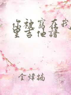 你被写在我的歌里吉他谱