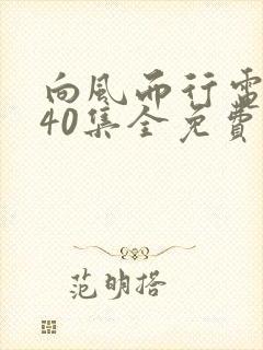 向风而行电视剧40集全免费播放