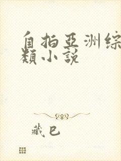 自拍亚洲综合另类小说