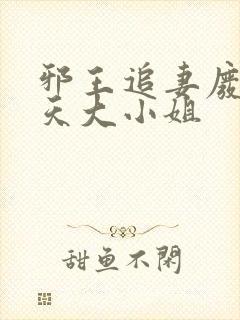 邪王追妻废材逆天大小姐