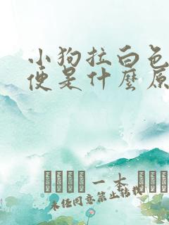 小狗拉白色的便便是什么原因